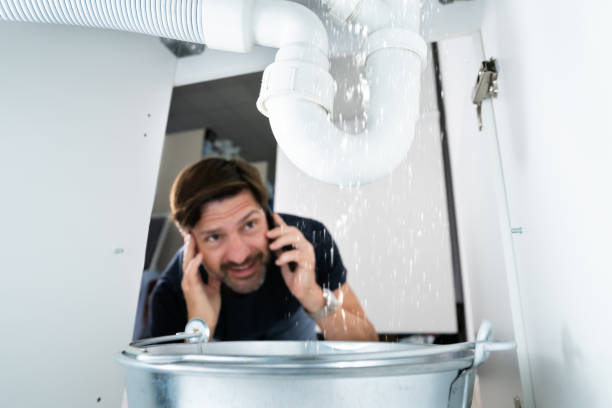 Best Gas Line Repair  in Assumption, IL
