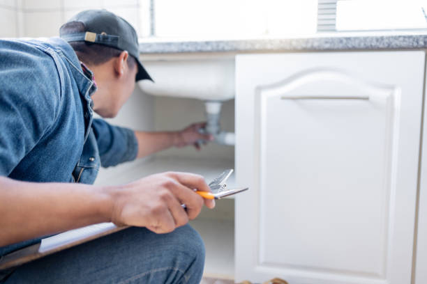 Best Leak Detection Services  in Assumption, IL