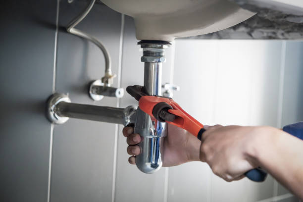 Best Commercial Plumbing Services  in Assumption, IL