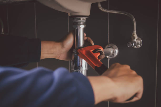 Best Commercial Plumbing Services  in Assumption, IL